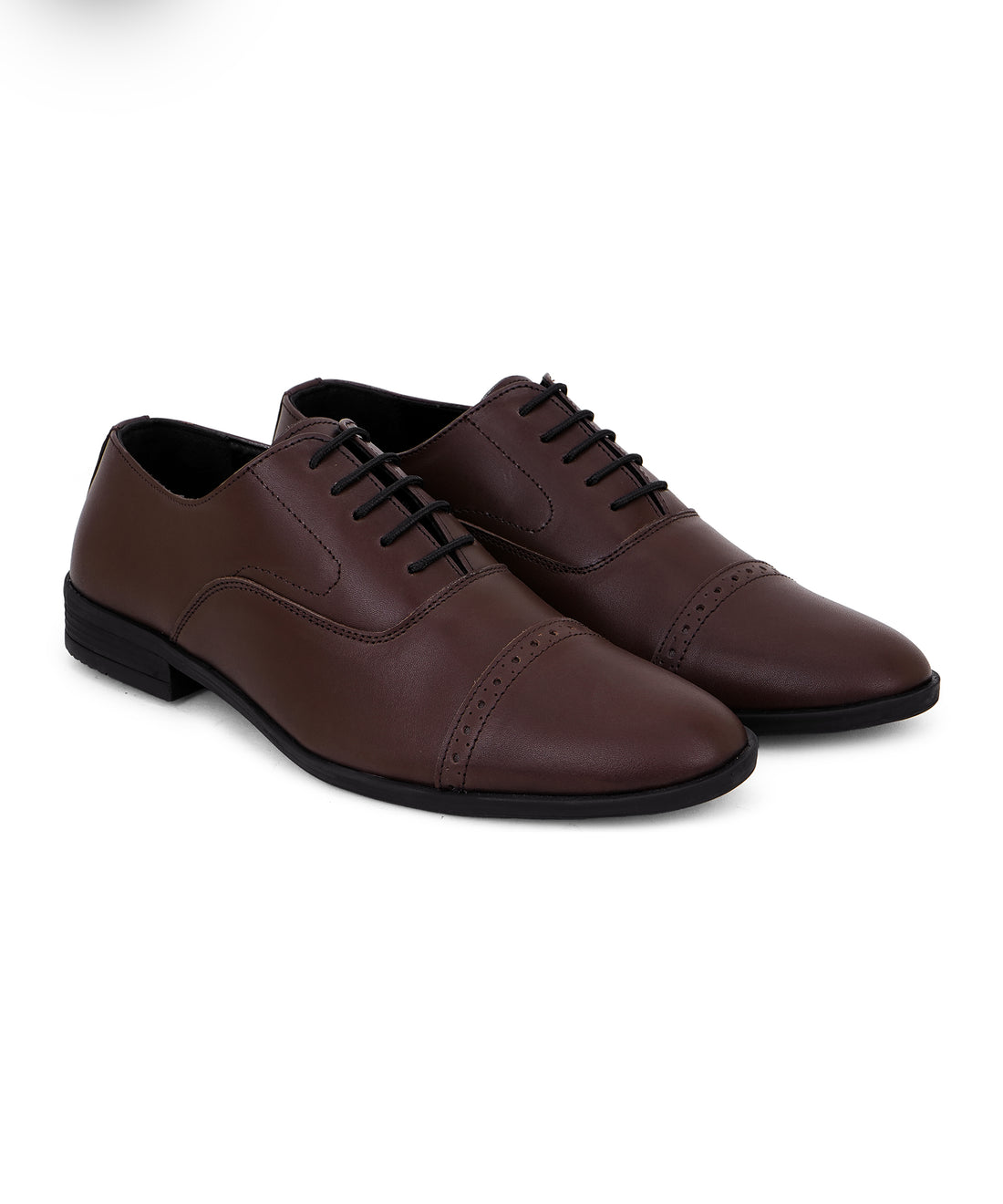 Chestnut Oxford